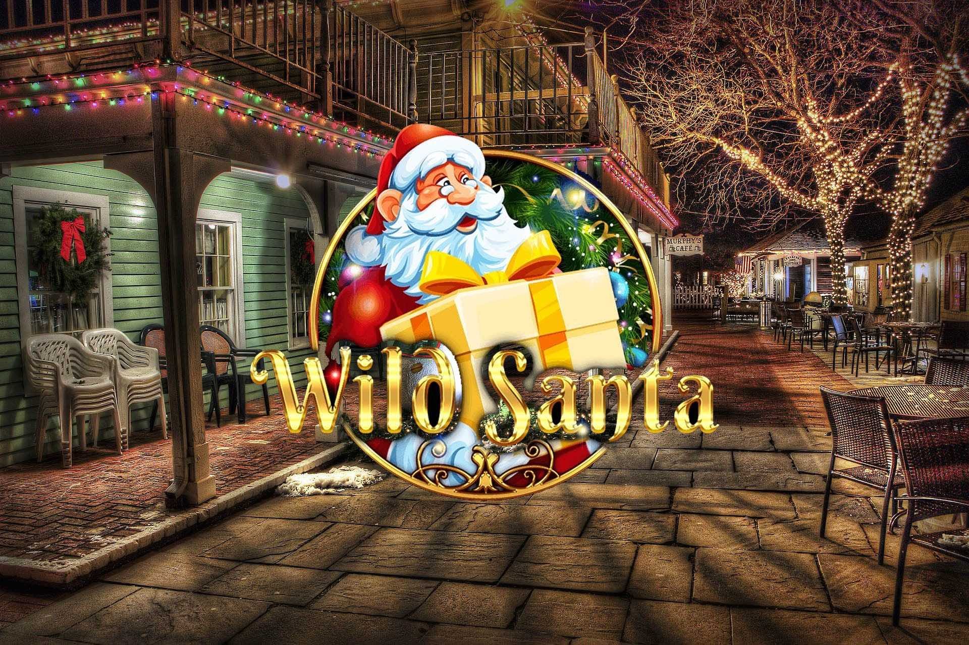Wild Santa